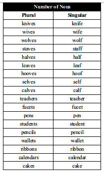 singular and plural word list